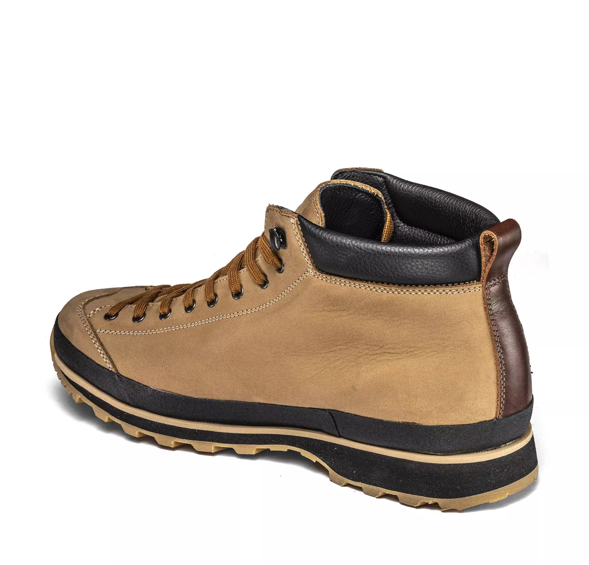 LOMER BIO NATURALE MID MTX50th ANNIVERSARY SPECIAL EDITION CACTUS