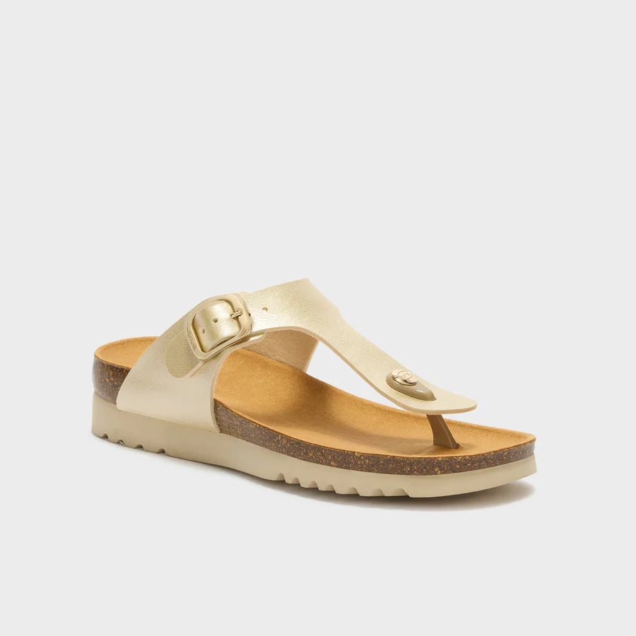 SCHOLL BOAVISTA INFRADITO ORO CHIARO