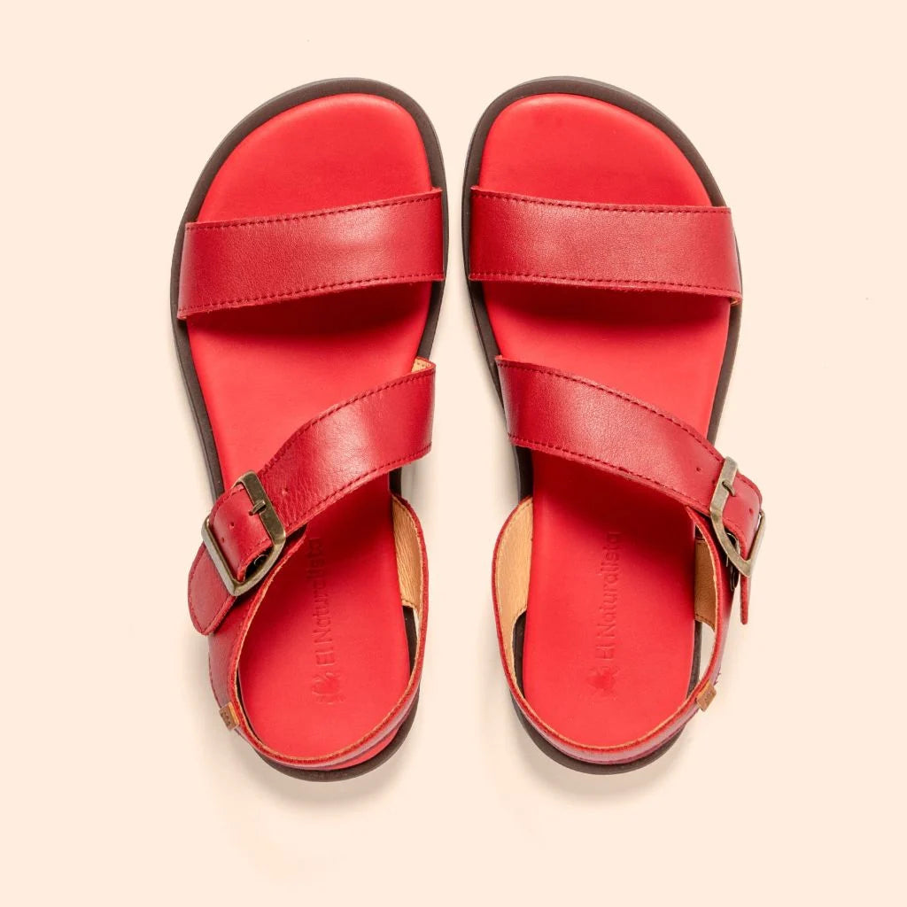 EL NATURALISTA 5887 ROSSO