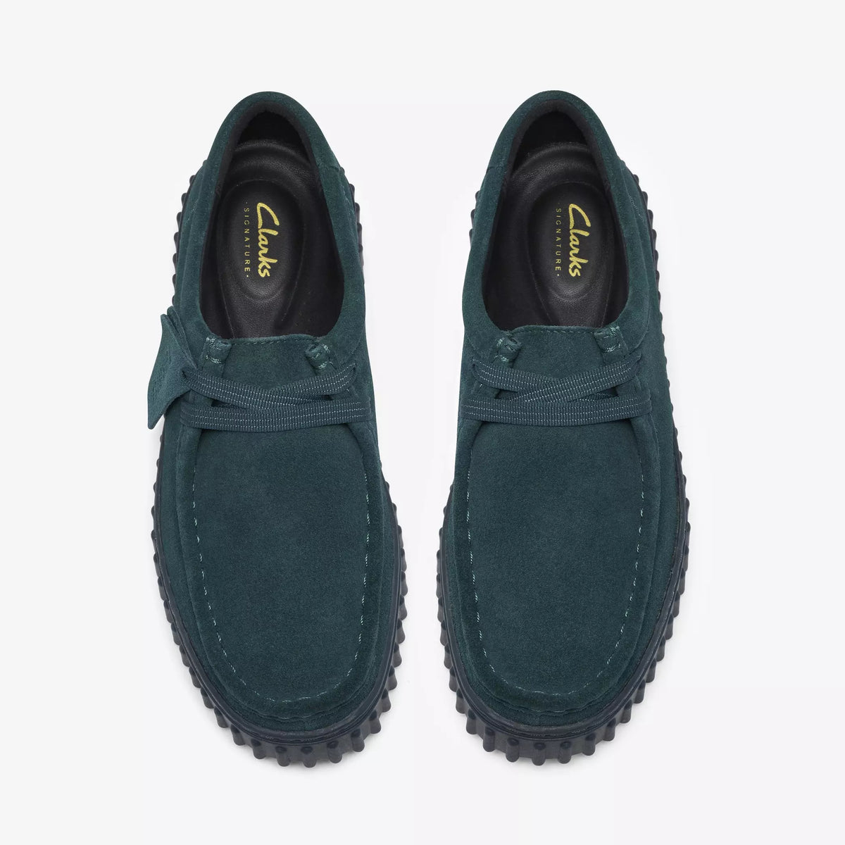 CLARKS TORHILL BEE CAMOSCIO VERDE ACQUA 26327769