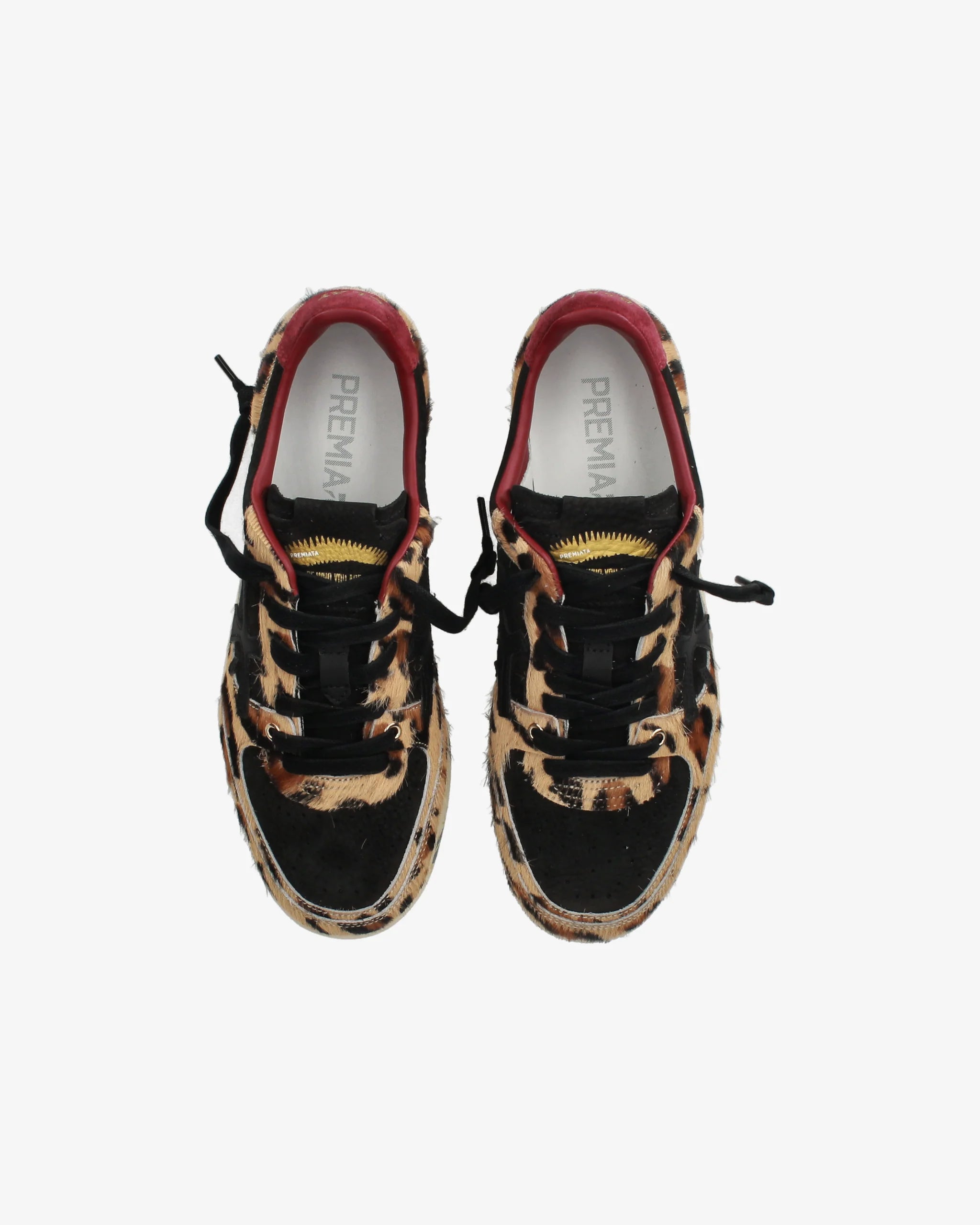 PREMIATA BSKT CLAYD 7665
