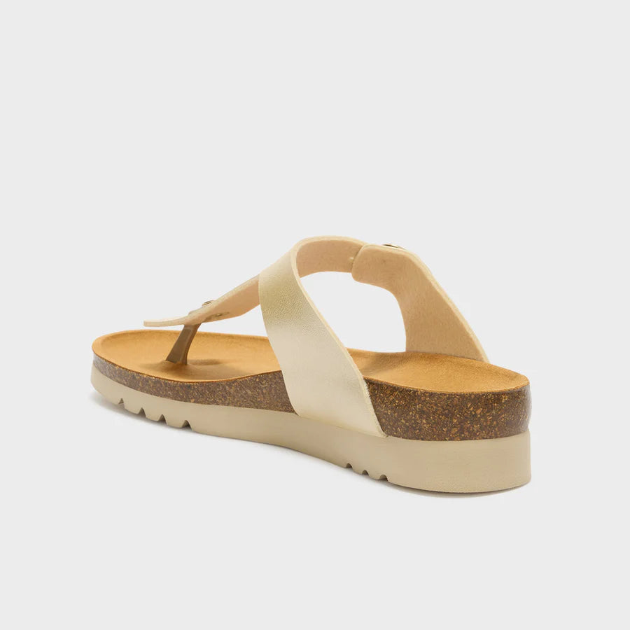 SCHOLL BOAVISTA INFRADITO ORO CHIARO